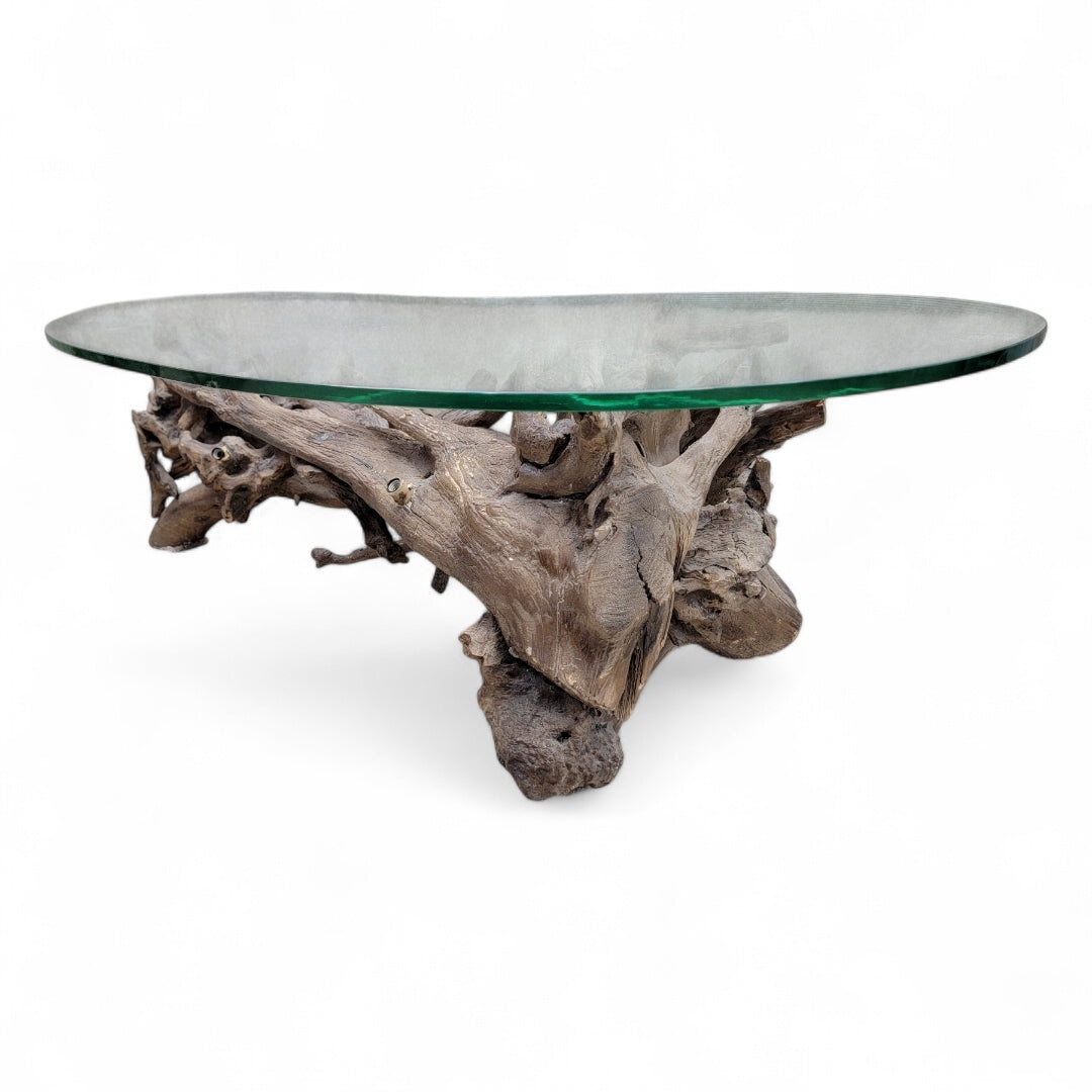 Mid Century Drift/Teak Root Live Edge Kidney Shape Glass Top Coffee Table