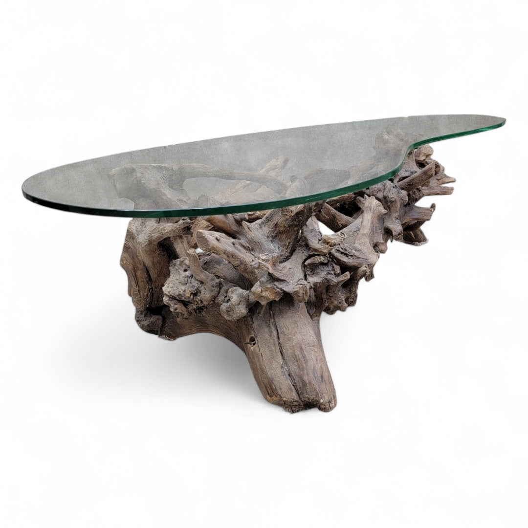 Mid Century Drift/Teak Root Live Edge Kidney Shape Glass Top Coffee Table