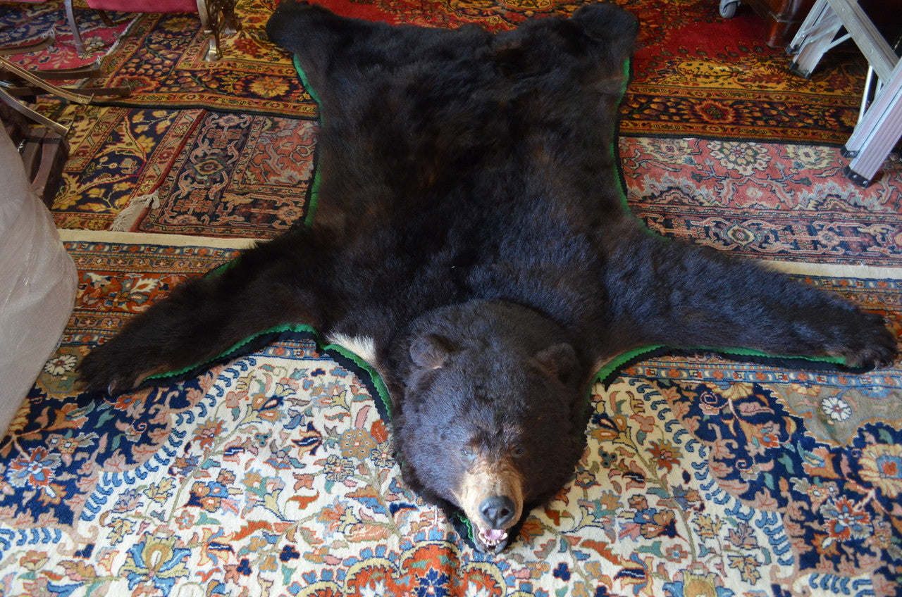 Vintage Taxidermy Bear Rug