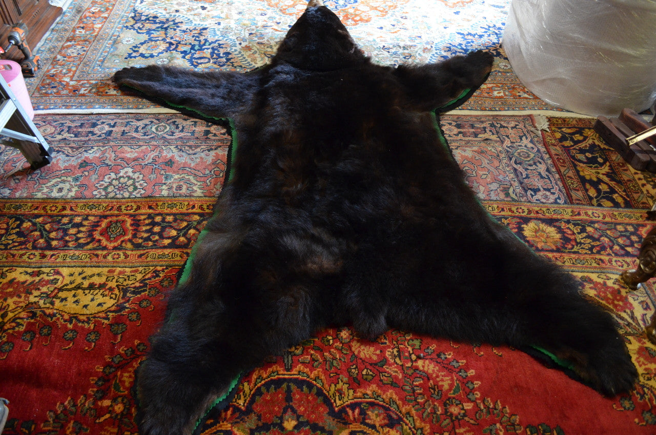 Vintage Taxidermy Bear Rug