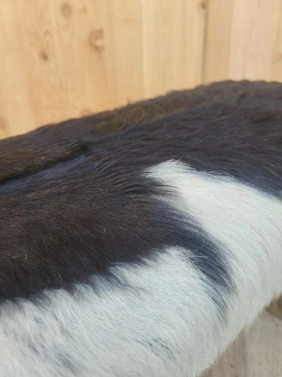 Vintage Black and White Cowhide Bench with Wooden Legs