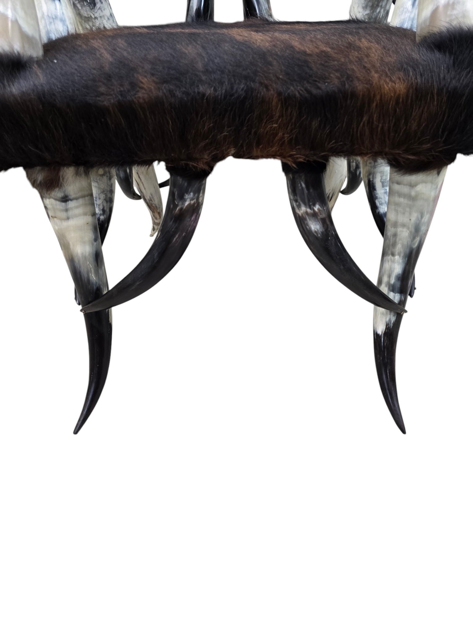 Antique Rustic Western Steer Horn Chair