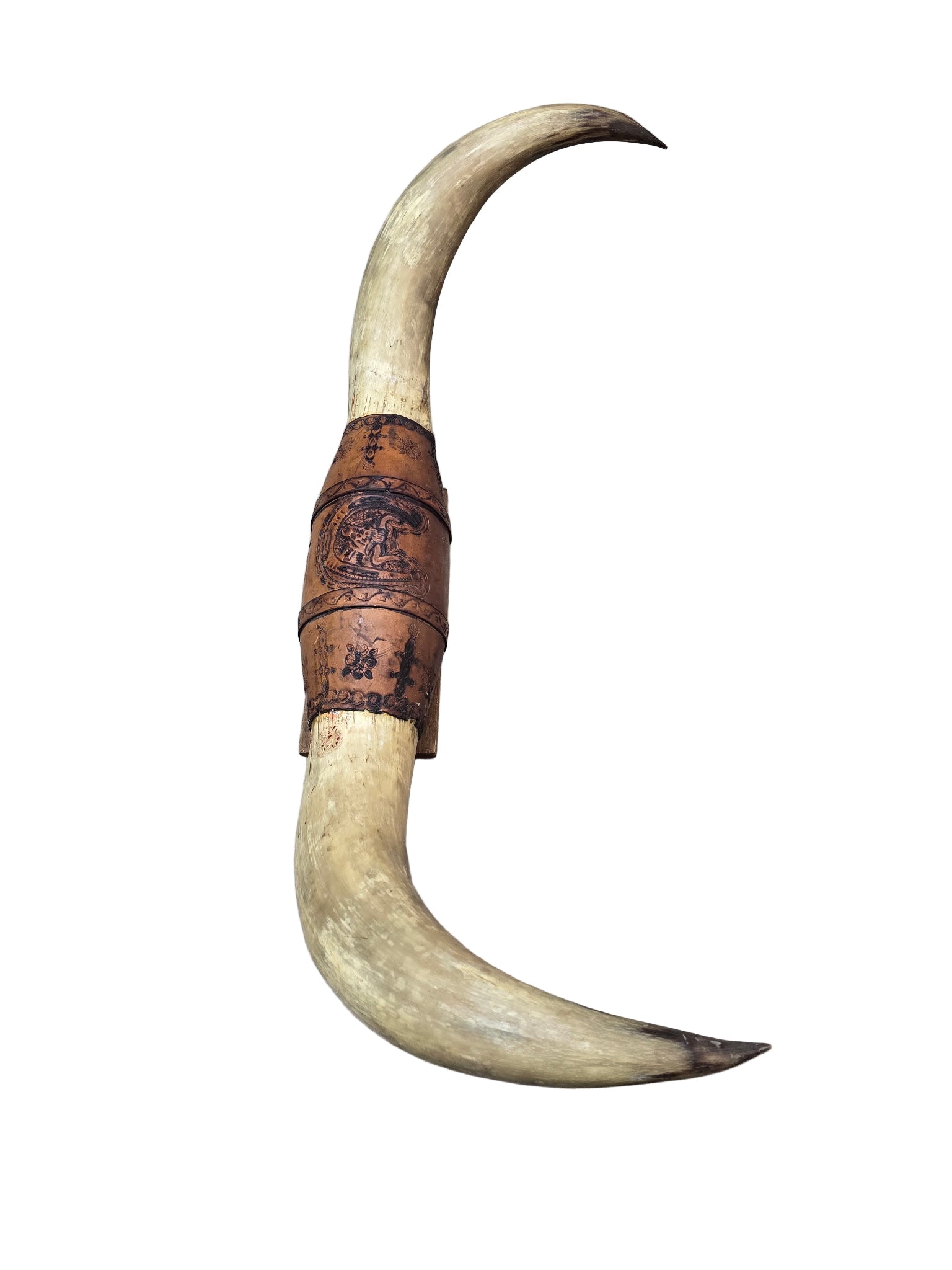 Antique Western Style Mounted Bull Horns on Wooden Base – Early 1900s Frontier Decor