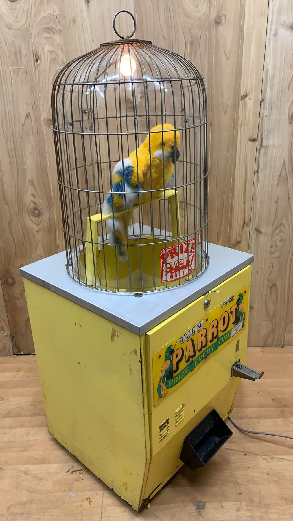 Parrot Coin Machine Vintage Gray Hound Talking Parrot Prize Every Time Vending Machine ...