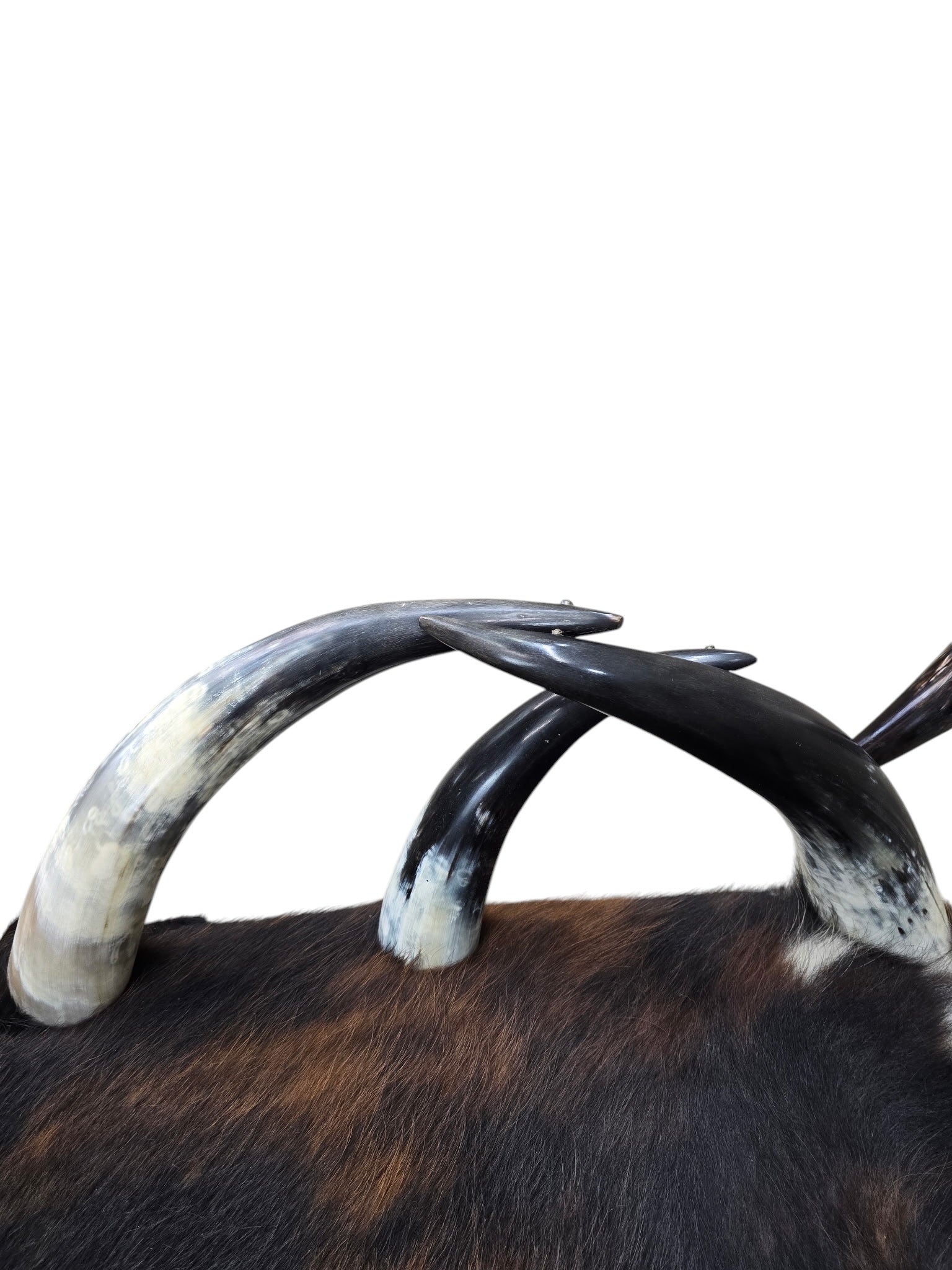 Antique Rustic Western Steer Horn Chair