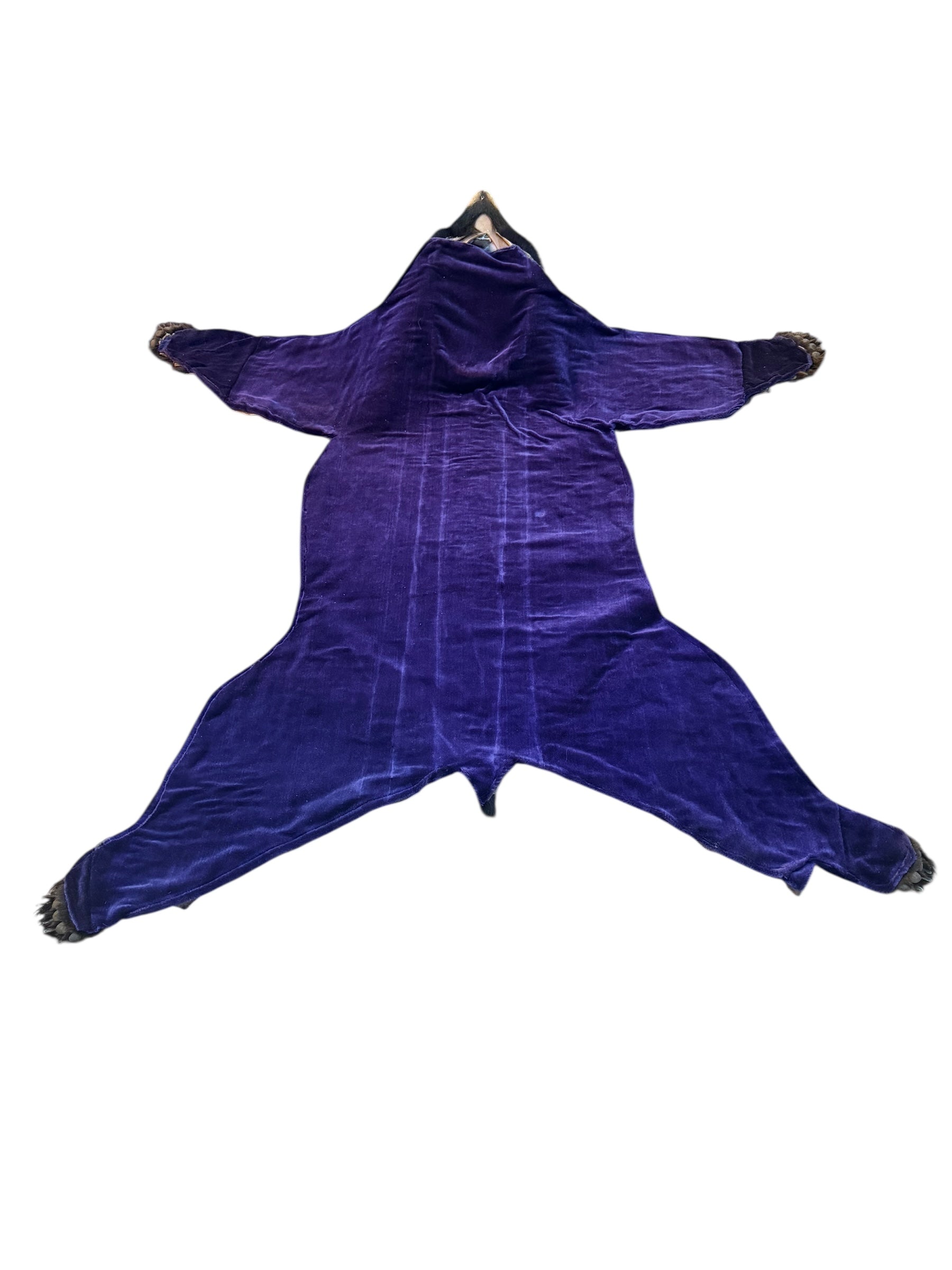 Vintage Taxidermy Bear Rug