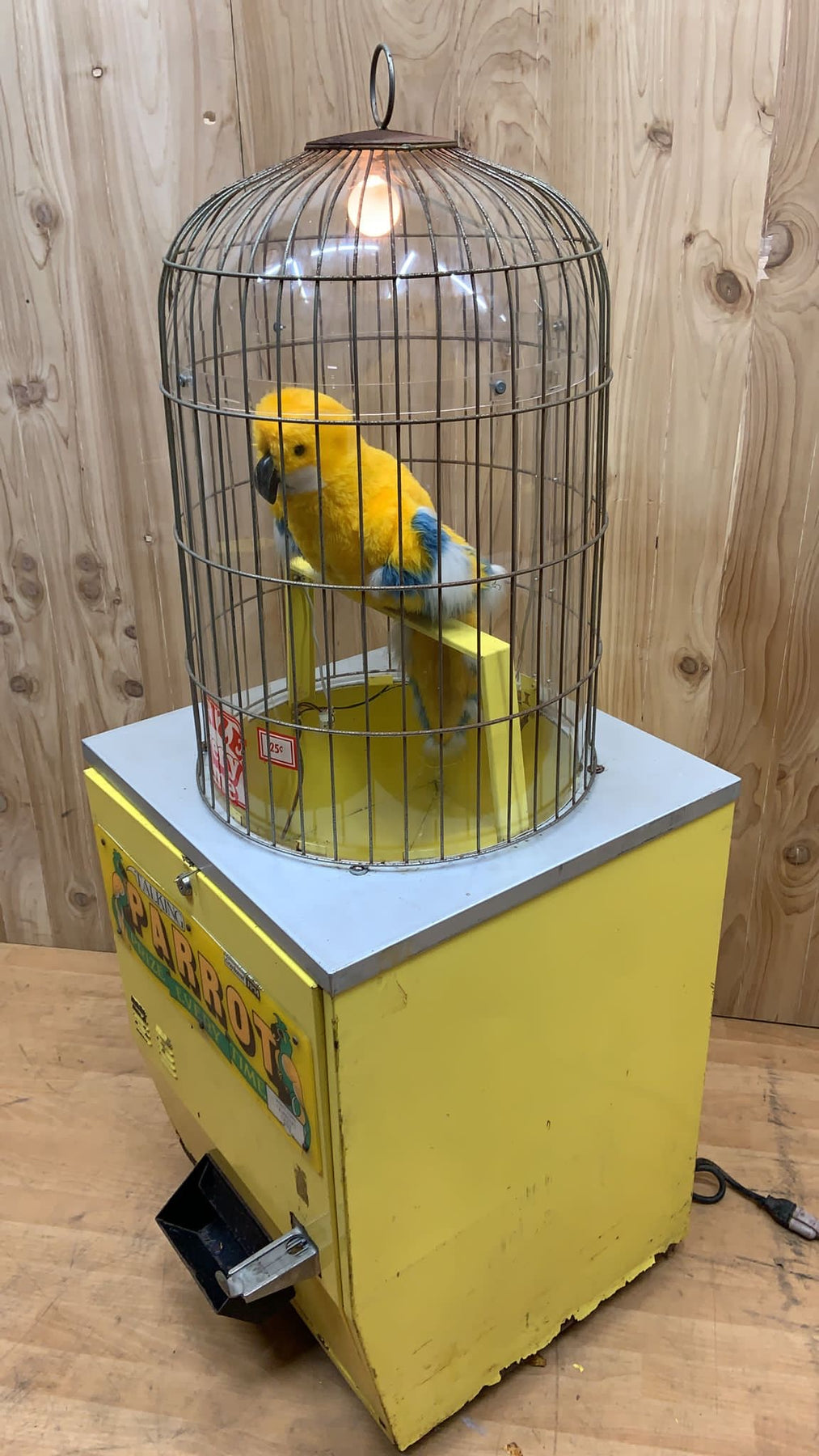 Parrot Coin Machine Vintage Gray Hound Talking Parrot Prize Every Time Vending Machine ...
