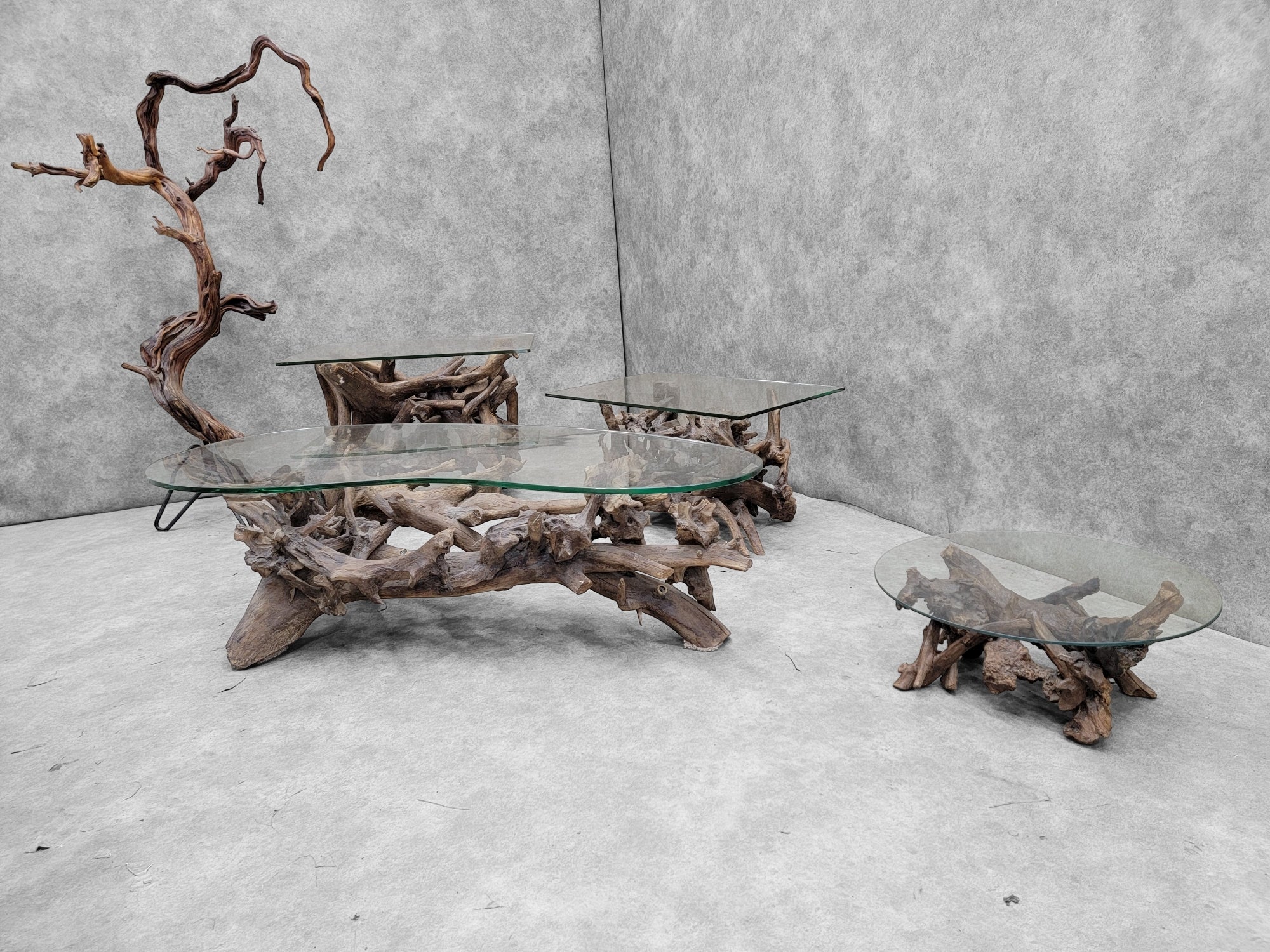 Mid Century Drift/Teak Root Live Edge Low Round Glass Top Cocktail Table