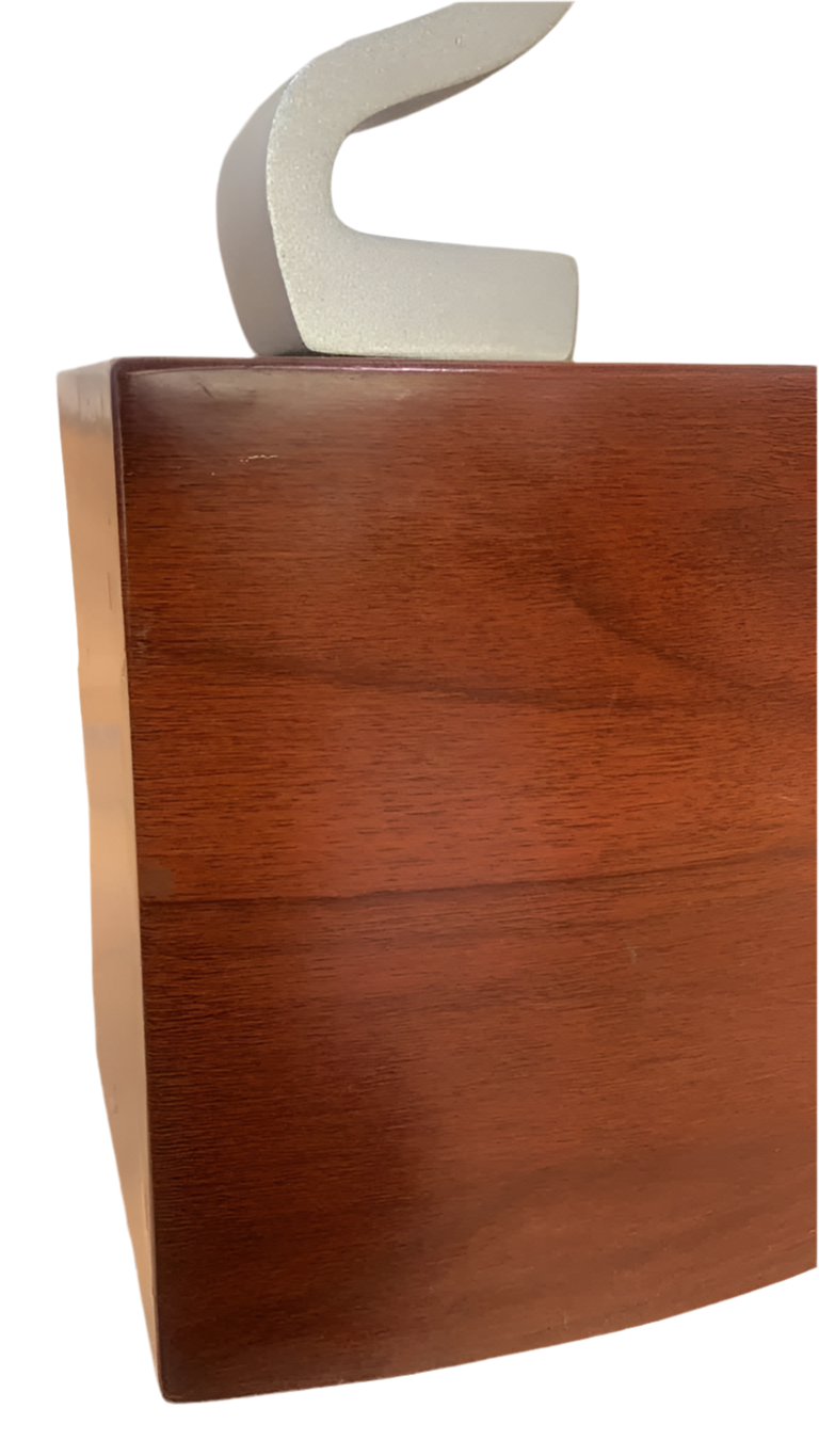 Contemporary Modern Curved Glass Coffee Table