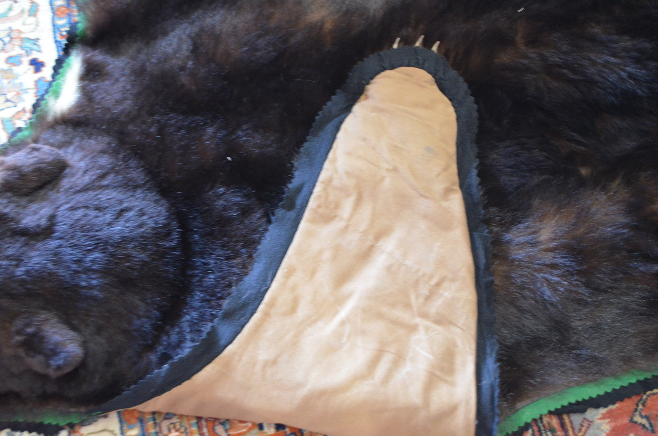 Original Grumpy Bear Rug Vintage Taxidermy Bear Rug – Vintage Grind House