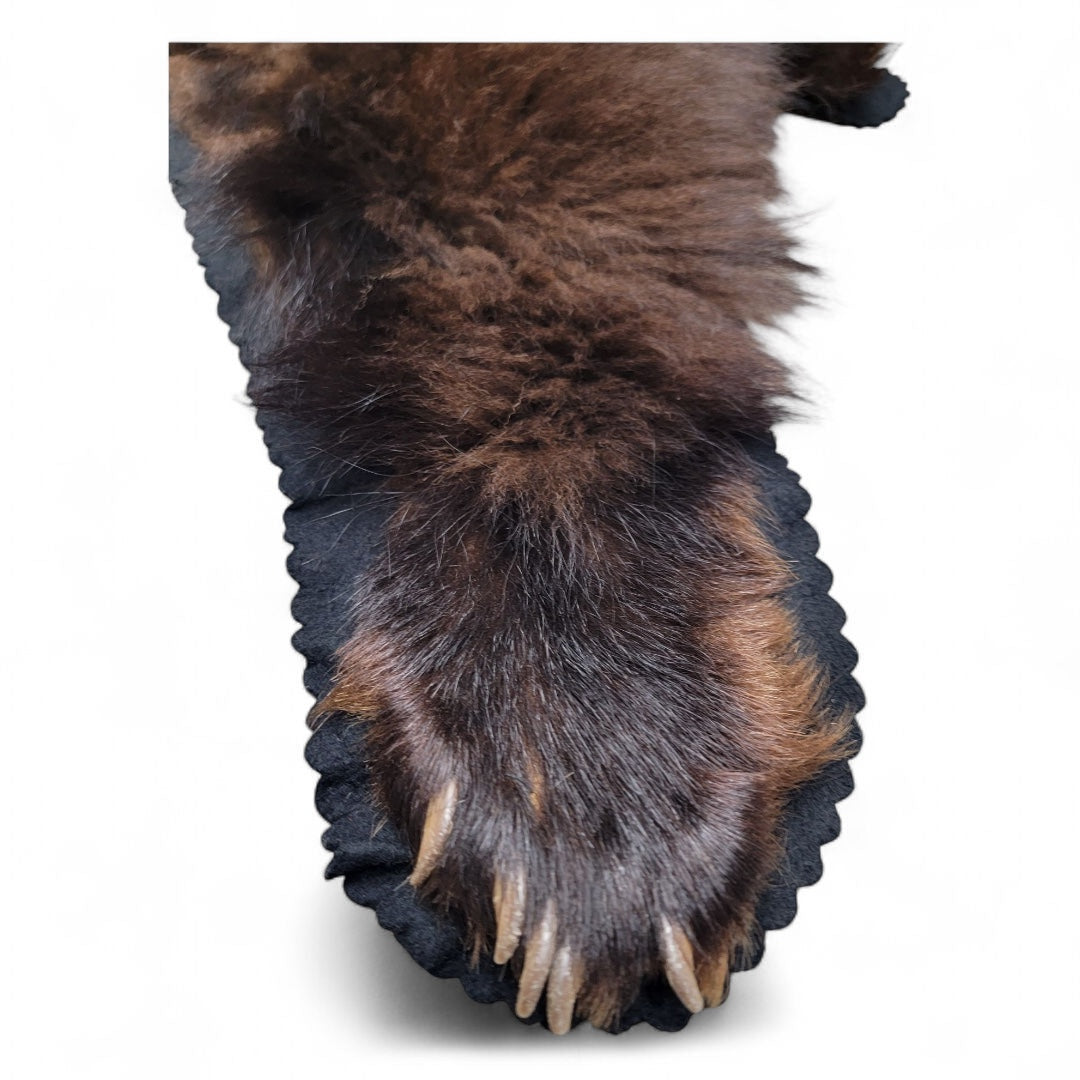Vintage Taxidermy Black Bear Rug