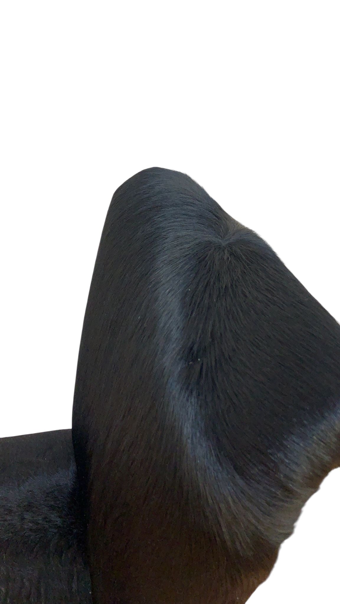 MCM Milo Baughman Chrome High Back Dining Chairs Newly Reupholstered - 6