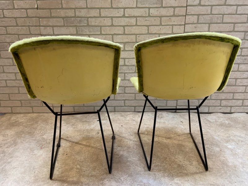 Mid Century Modern Harry Bertoia for Knoll Shell Chairs Newly Upholstered - Pair
