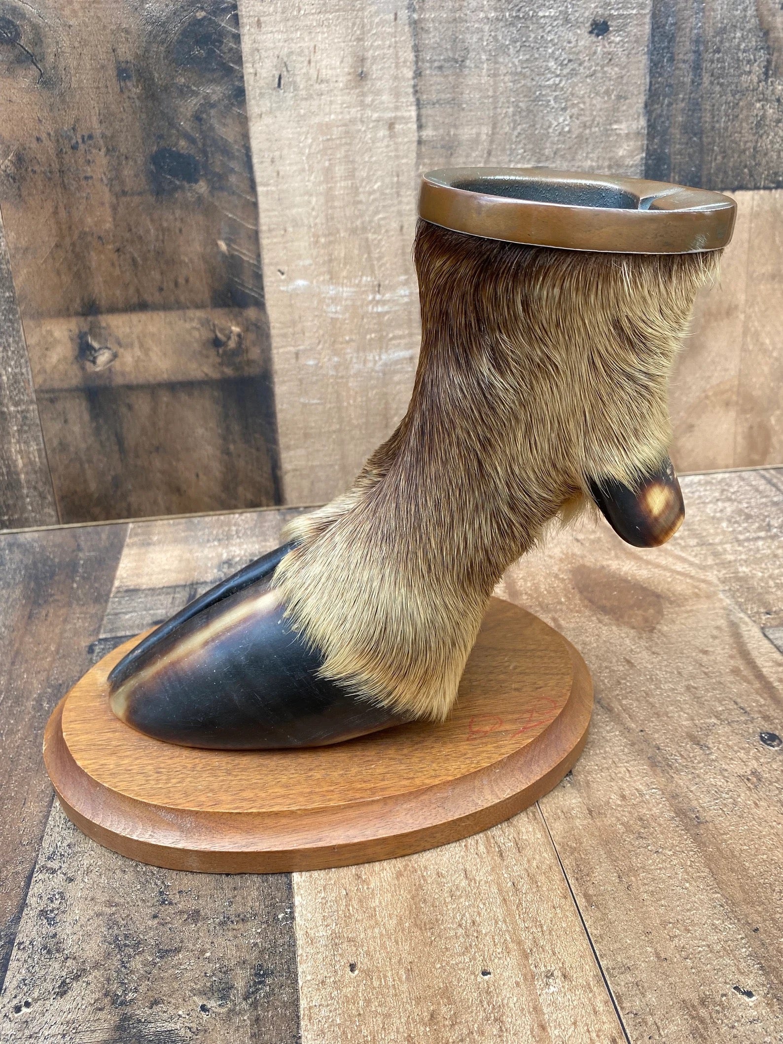 Vintage Taxidermy Elk Foot Ash Tray on Wooden Base