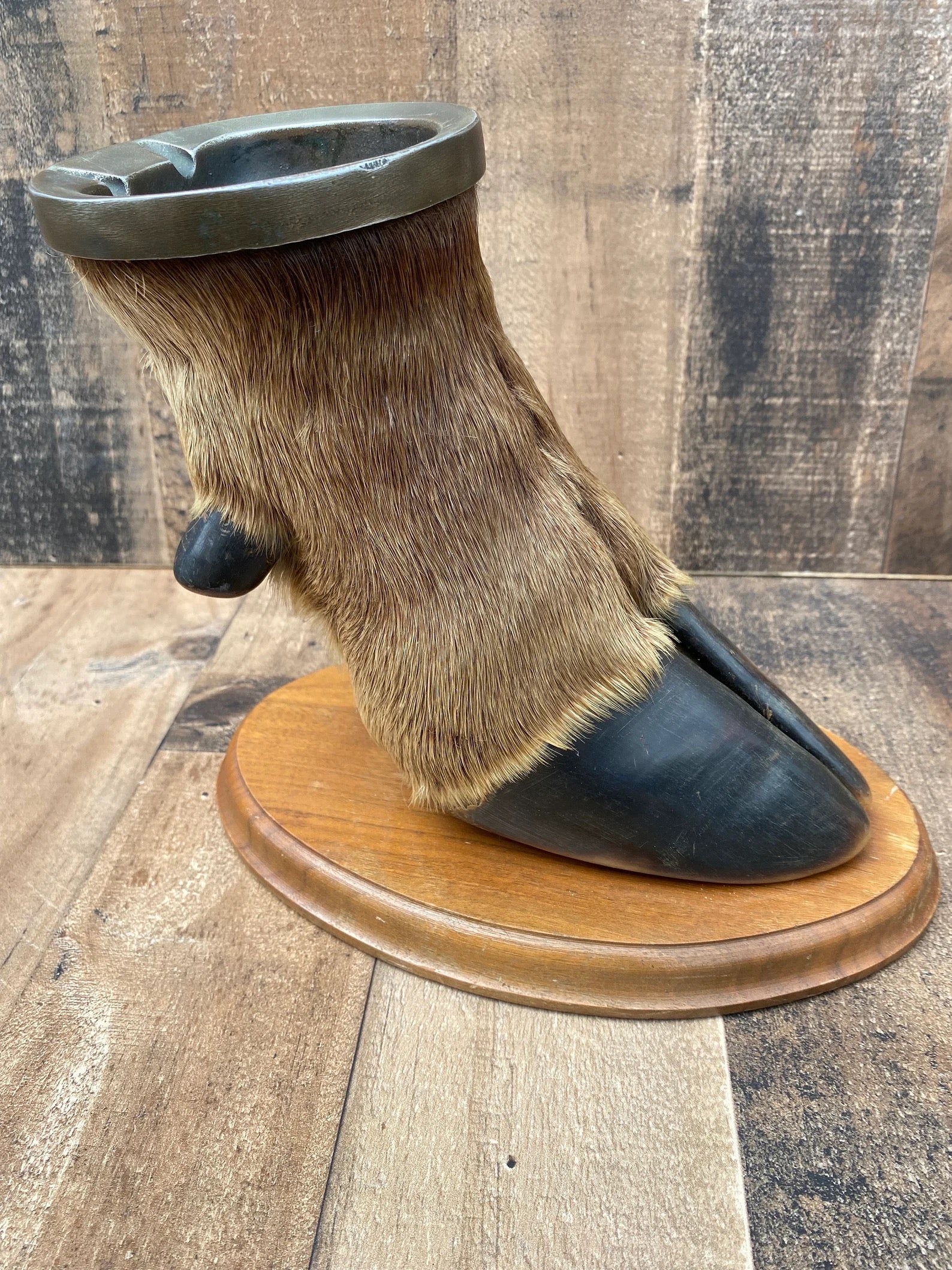 Vintage Taxidermy Elk Foot Ash Tray on Wooden Base