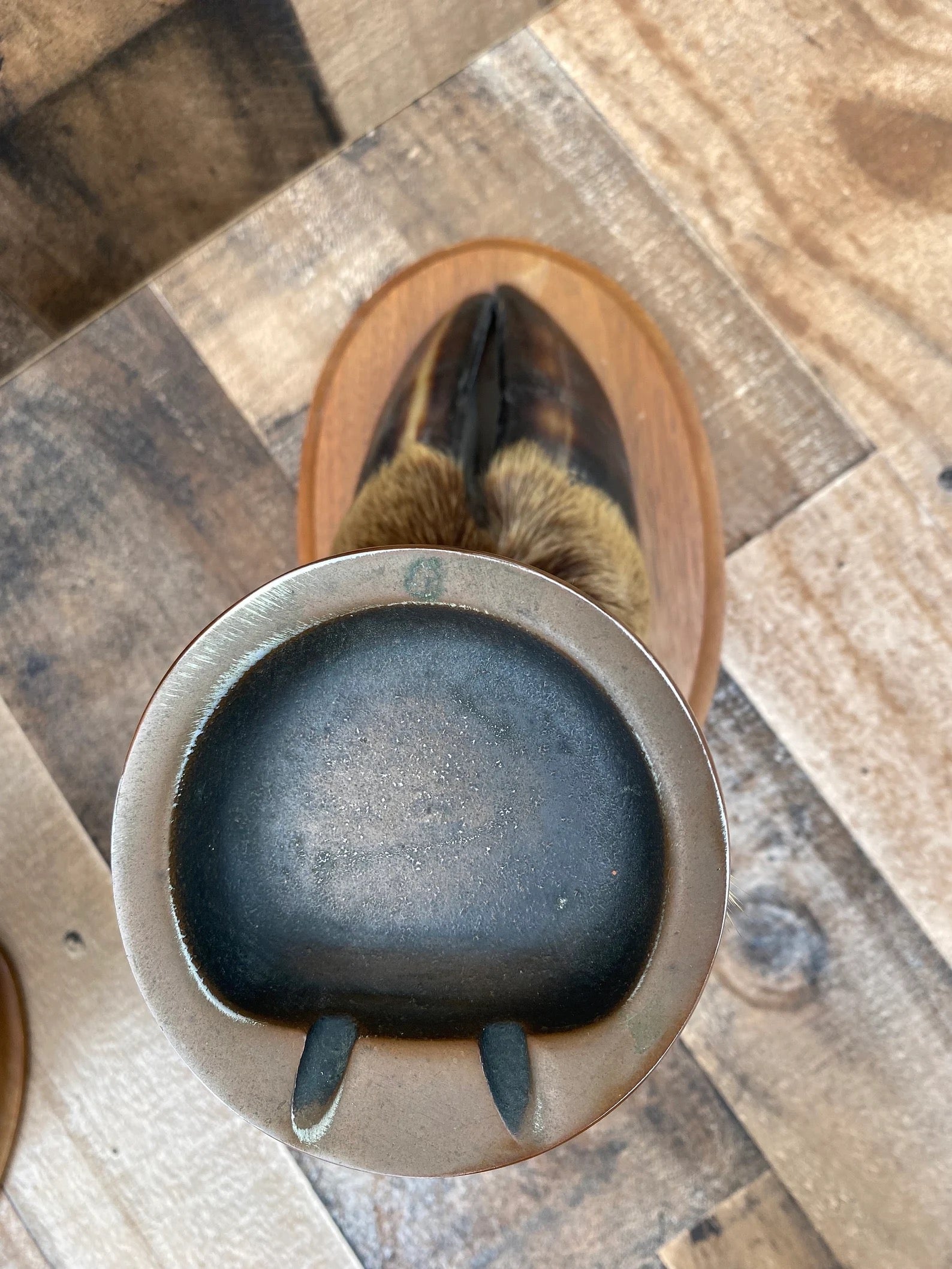 Vintage Taxidermy Elk Foot Ash Tray on Wooden Base