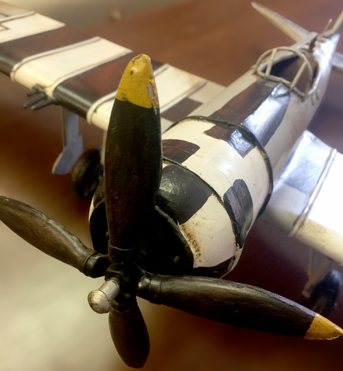 Vintage Republic P-47 Thunderbolt Black & White Plane
