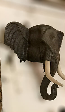 Wall Hanging Carved Elephant Head Sculpture